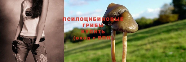 a pvp Гусь-Хрустальный