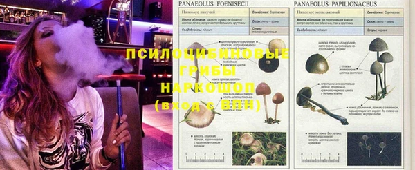 амфетамин Гусев
