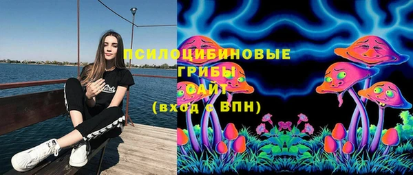 мдпв Дмитров