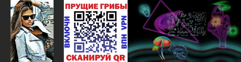Псилоцибиновые грибы Magic Shrooms Купить закладки Петровск